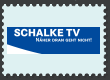 SchalkeTV